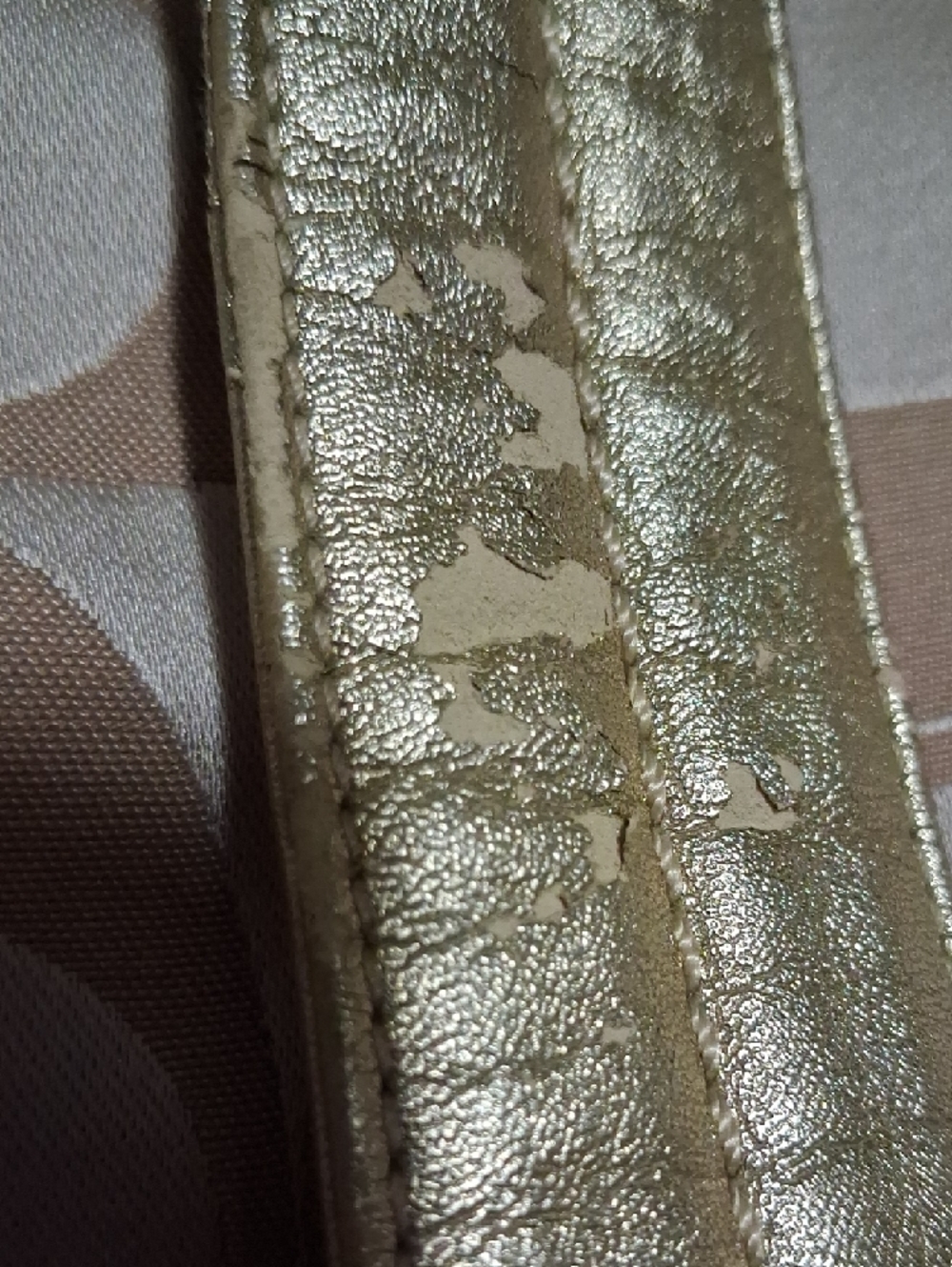 Coach Poppy Signature Daisy Applique Backpack with Gold Accents - Picture 8 of 9